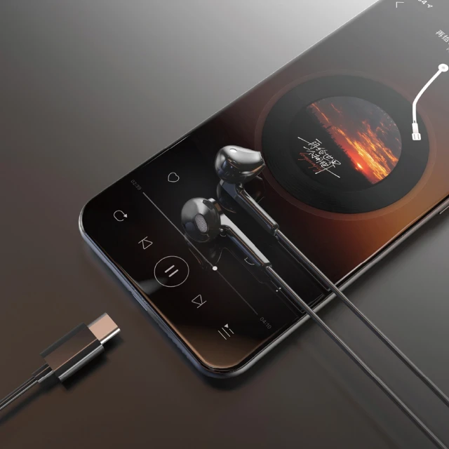Навушники Dudao X3C USB-C 1.2m Black (X3C black)