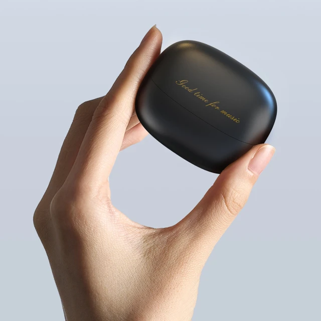 Беспроводные наушники Dudao U21 Black (U21_Black)