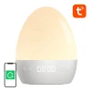 Лампа нічна Gosund LB2S Wi-Fi RGBW (6977038680228)