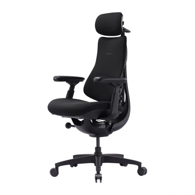 Кресло эргономичное LiberNovo Omni SE 48cm Black (LNOC1-SE)