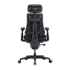 Кресло эргономичное LiberNovo Omni SE 48cm Black (LNOC1-SE)