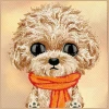 Чохол Nimmy Big Eyed Teddy Poodle для iPhone 18 Pro Max | 17 Pro Max Brown (N-XDY-IP18/17-PRO-MAX-014)
