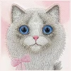 Чохол Nimmy Big Eyed Ragdoll для iPhone 18 Pro Max | 17 Pro Max Pink (N-XDY-IP18/17-PRO-MAX-07-D)