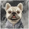 Чохол Nimmy Gentle Pets Series Dog для iPhone 18 Pro | 17 Pro Black (N-YSMC-IP18/17-PRO-01-E)