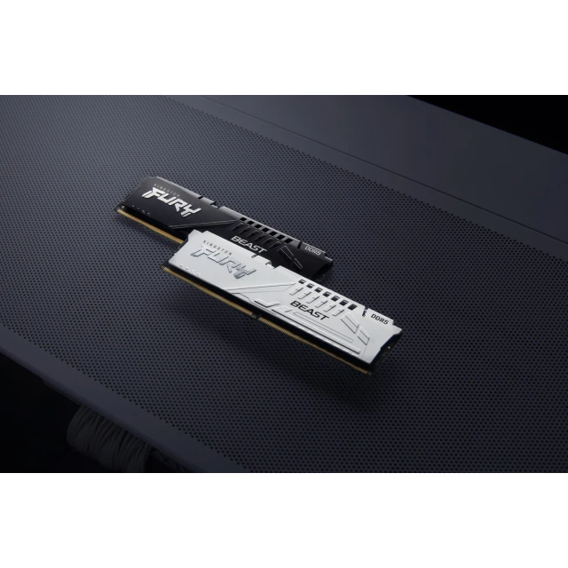 Оперативна пам'ять Kingston FURY Beast DDR5 16 ГБ 6000 МГц EXPO Black (740617343038)