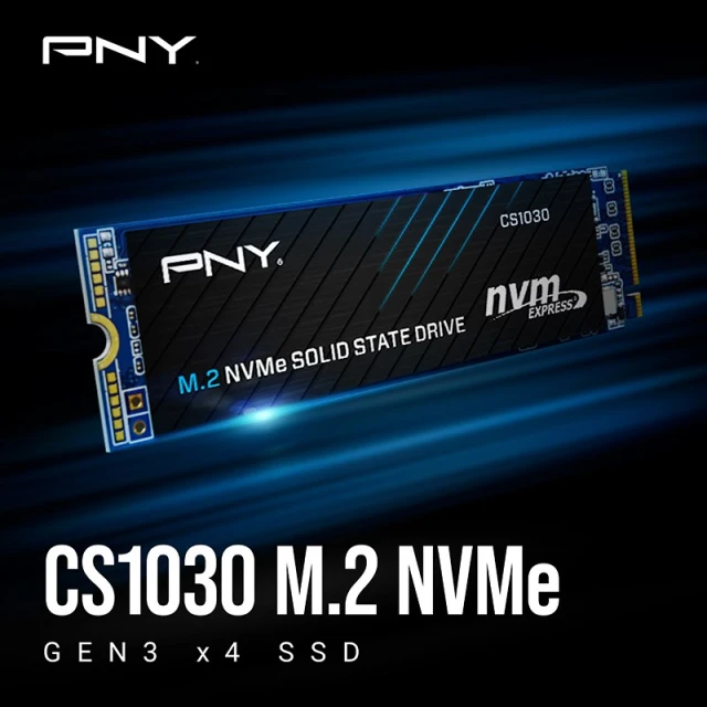 SSD PNY CS1030 M.2 2280 PCI-Ex4 Gen3 NVMe 2TB (751492641645)