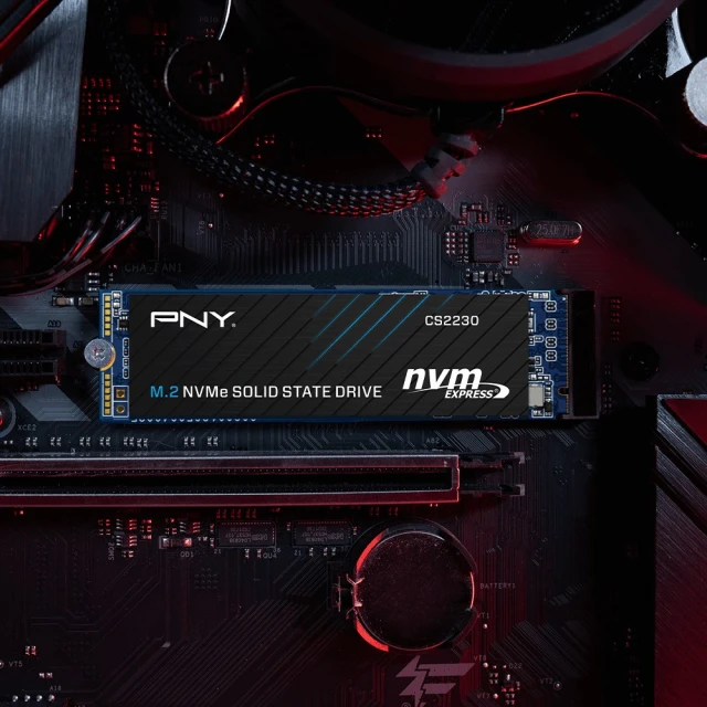 SSD PNY CS2230 M.2 NVMe 500GB (751492756264)