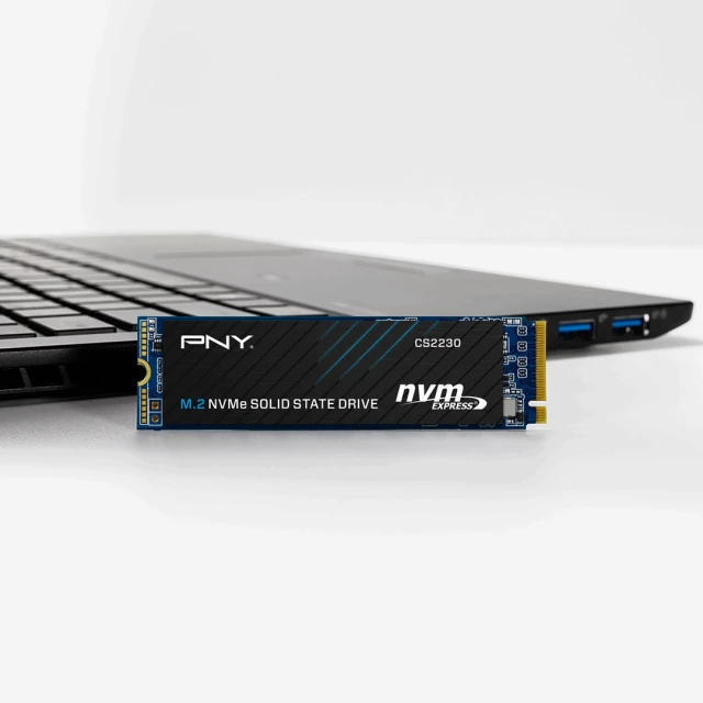 SSD PNY CS2230 M.2 NVMe 500GB (751492756264)