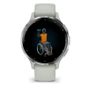 Розумний годинник Garmin Venu 3S AMOLED 41 мм Sage Grey (010-02785-01)