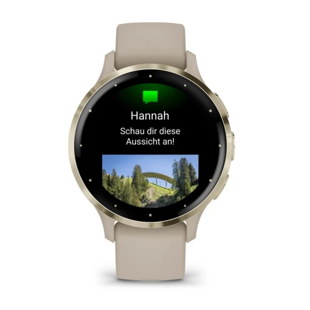 Розумний годинник Garmin Venu 3S AMOLED 41 мм French Grey (010-02785-02)