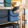 Контейнер для сортування відходів Rotho ALBULA 40 л Blue (7610859225603)