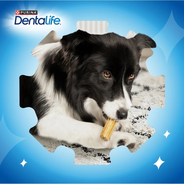 Ласощі для собак Purina Dentalife Extra Mini 69 г (7613036342230)