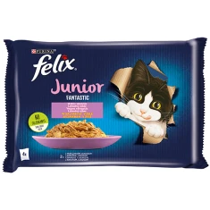 Влажный корм для котят Felix Fantastic Junior в желе с курицей и лососем 4 шт x 85 г (7613039757208)
