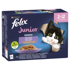 Влажный корм для котят Felix Fantastic Junior в желе Микс вкусов 12 шт x 85 г (7613039776810)