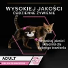 Вологий корм для котів Purina Pro Plan Delicate з індичкою 85 г (7613287107848)