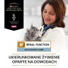 Сухий корм для котів PRO PLAN Veterinary Diets Purina NF Renal Function 350 г (7613287886217)