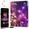 Гірлянда Twinkly Candies 100 LED RGB серця Clear провід USB-C (8053614841233)