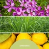 Аромадифузор Millefiori Lemon Grass 250 мл (8053848694445)
