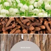 Аромадифузор Millefiori White Musk 500 мл (8053848694674)
