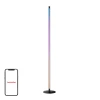 Торшер SwitchBot Floor Lamp RGBICWW (W1702101)