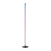Торшер SwitchBot Floor Lamp RGBICWW (W1702101)