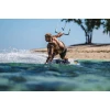 Навушники Shokz OpenSwim Pro бездротові кісткові Grey (810173486118)