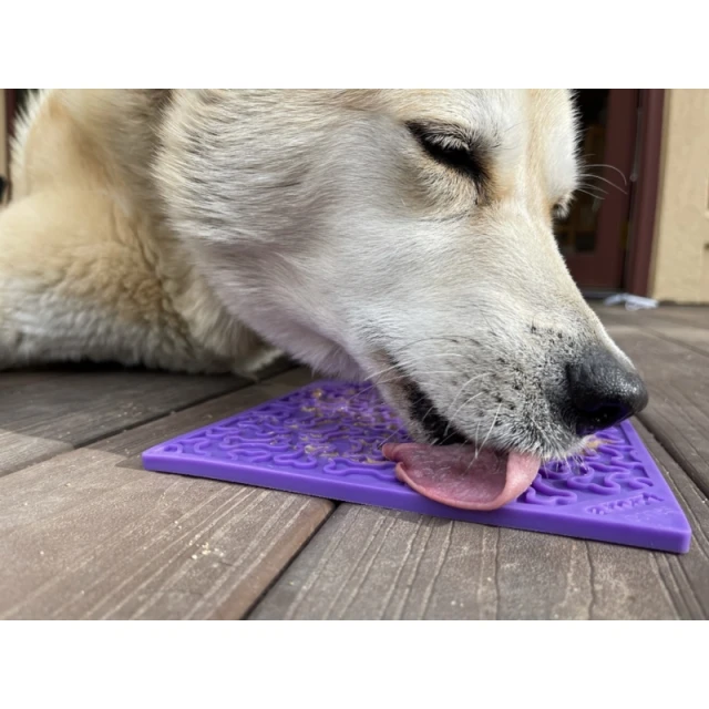 Килимок для вилизування Кістки SodaPup L Purple (810216025717)