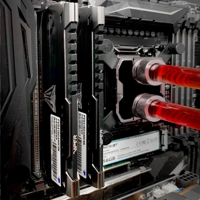 Оперативна пам'ять Patriot Memory Viper Steel DDR4 8 ГБ 3600 МГц CL18 XMP2 (814914027653)