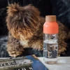 Пляшка для води Quokka Ice ecozen 720 мл Birds (6989)