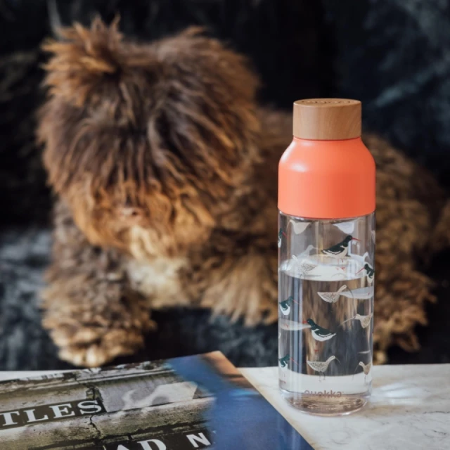 Пляшка для води Quokka Ice ecozen 720 мл Birds (6989)