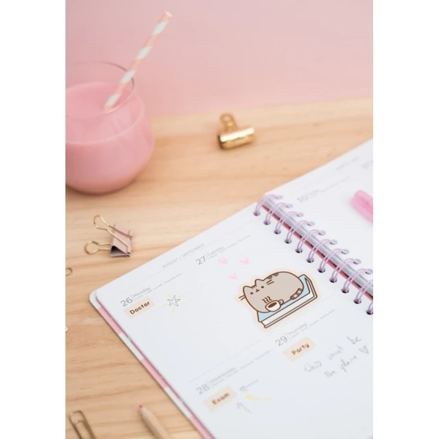 Планер Pusheen 2019/2020 (14 x 16 см)