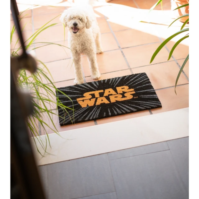Килимок Doormat Star Wars 40x60 см (FGE0003)