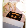 Коврик Batman 40x60cm (FGE0013)