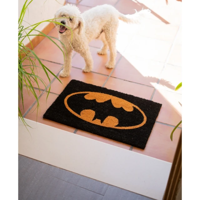 Коврик Batman 40x60cm (FGE0013)