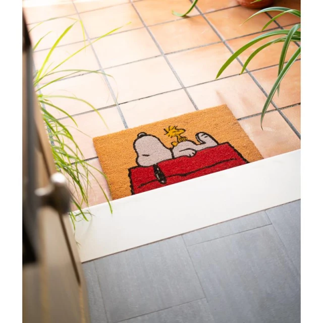 Коврик Snoopy 40x60 см (FGE0021)
