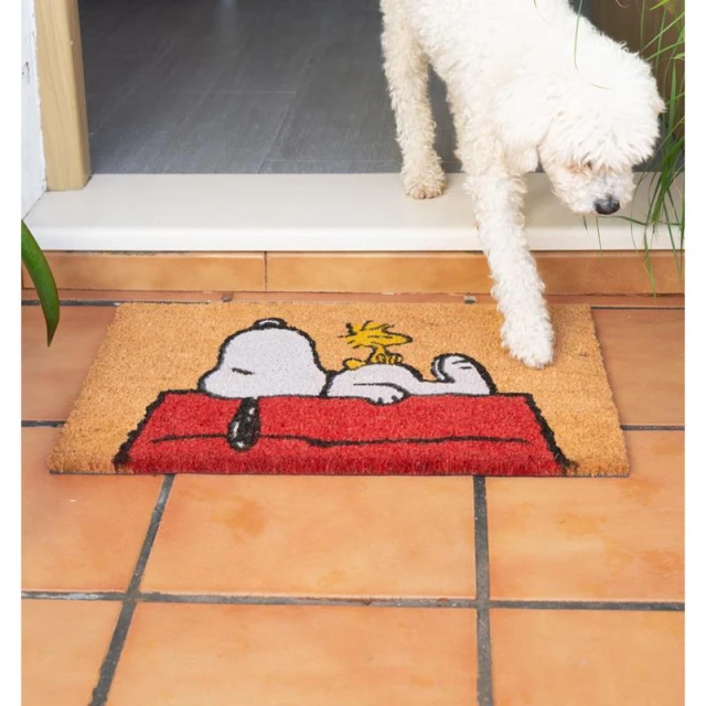 Коврик Snoopy 40x60 см (FGE0021)