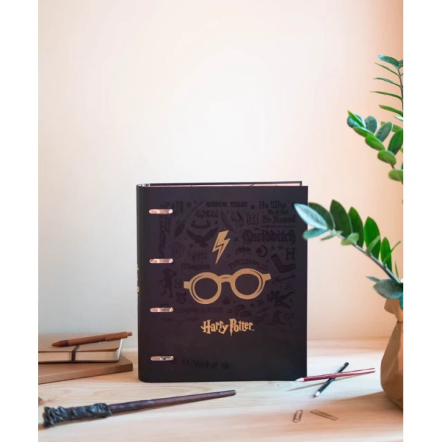 Папка-регістратор Harry Potter A4 4 кільця гумка (CAT0069)