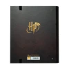 Класер Harry Potter A4 4 кільця гумка (CBK0068A)