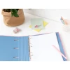 Сегрегатор A4 Disney Stitch 4 кільця + гумка (CAT0105)