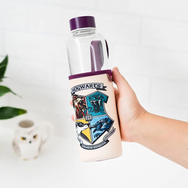 Пляшка скляна Harry Potter Hogwarts 500 ml (BDC010)