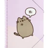 Скоросшиватель Pusheen A4 з гумкою та 30 файлами (CFA405)