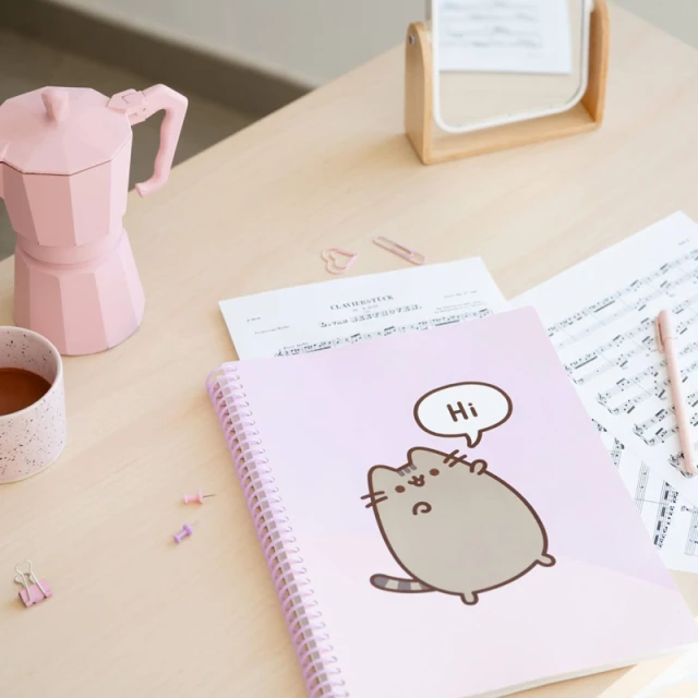 Скоросшиватель Pusheen A4 з гумкою та 30 файлами (CFA405)