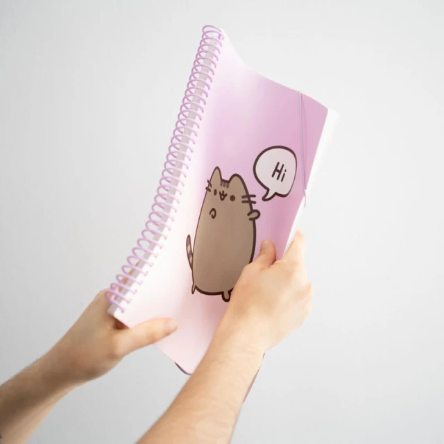 Скоросшиватель Pusheen A4 з гумкою та 30 файлами (CFA405)