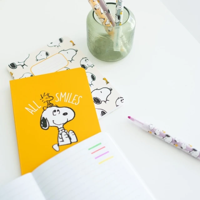 Набір шкільних приладдя Snoopy 15 елементів (SETP001)