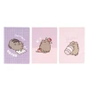Набір зошитів Pusheen Moments A5 3 шт. (PCA5009)