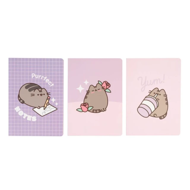 Набір зошитів Pusheen Moments A5 3 шт. (PCA5009)