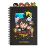 Блокнот Harry Potter A5 (PNE09)