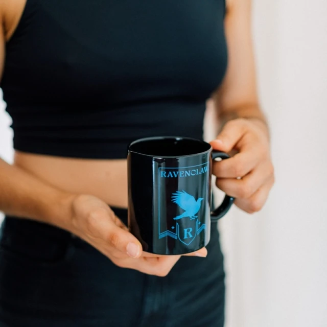 Кухоль керамічний Harry Potter Ravenclaw 350 ml (TAZ163)