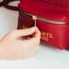 Рюкзак мини Harry Potter Platform 9 3/4 экокожа (MARE0382)