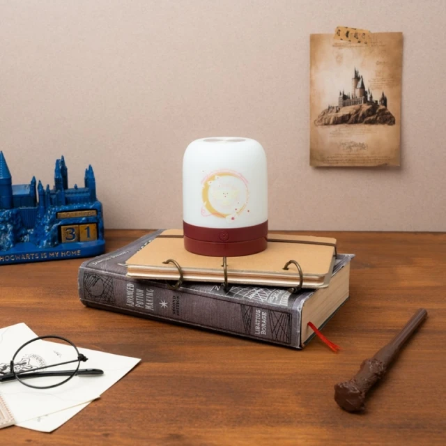 Лампа светодиодная для детей беспроводная Harry Potter USB-C с регулировкой яркости (LAMPA005)